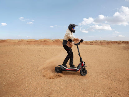 Segway-Ninebot ZT3 Pro D E-Scooter, Up to 70 km Range, 11 Zoll Off-Road Tyres, Full Suspension, Flash Charge, Apple Find My, Foldable, Black